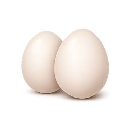 Eier