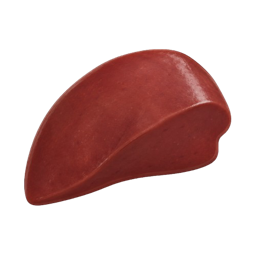 Rinderleber